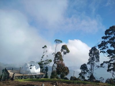 WhatsApp Image 2026-03-11 at 17.02.22 (1)